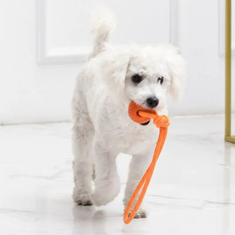 Rope Chew Toy