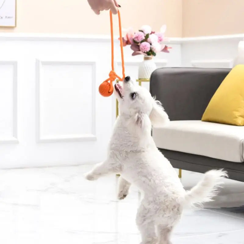 Rope Chew Toy