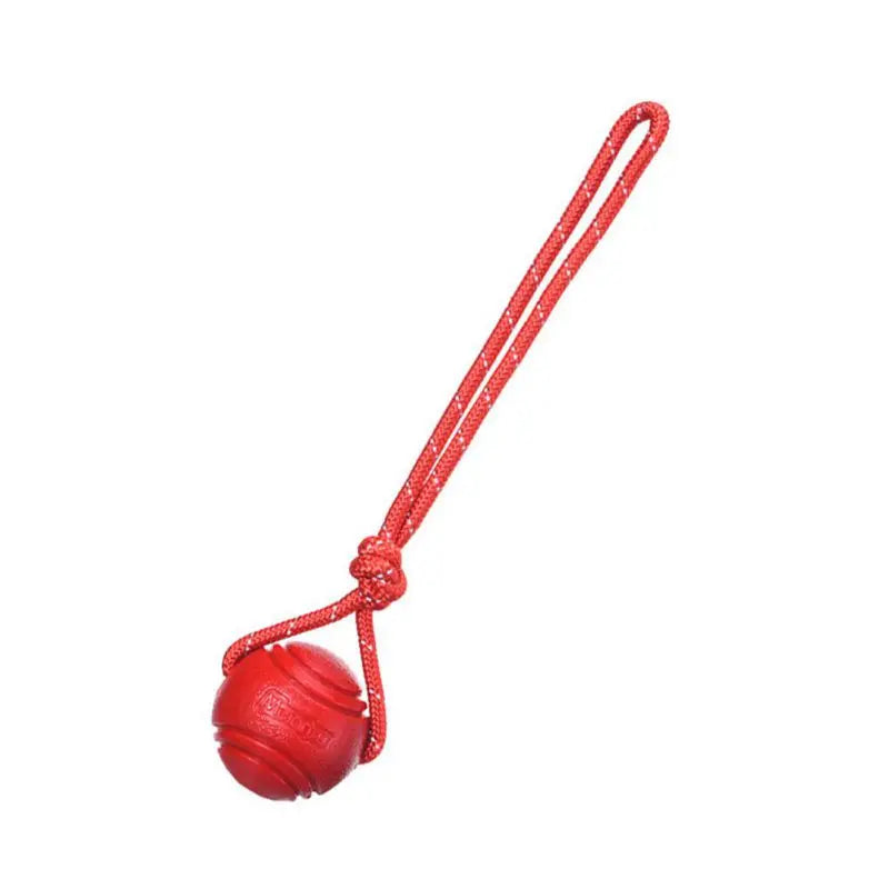 Rope Chew Toy