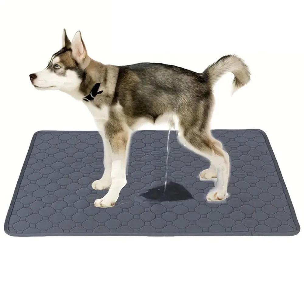 Washable Dog Pee Pad Reusable