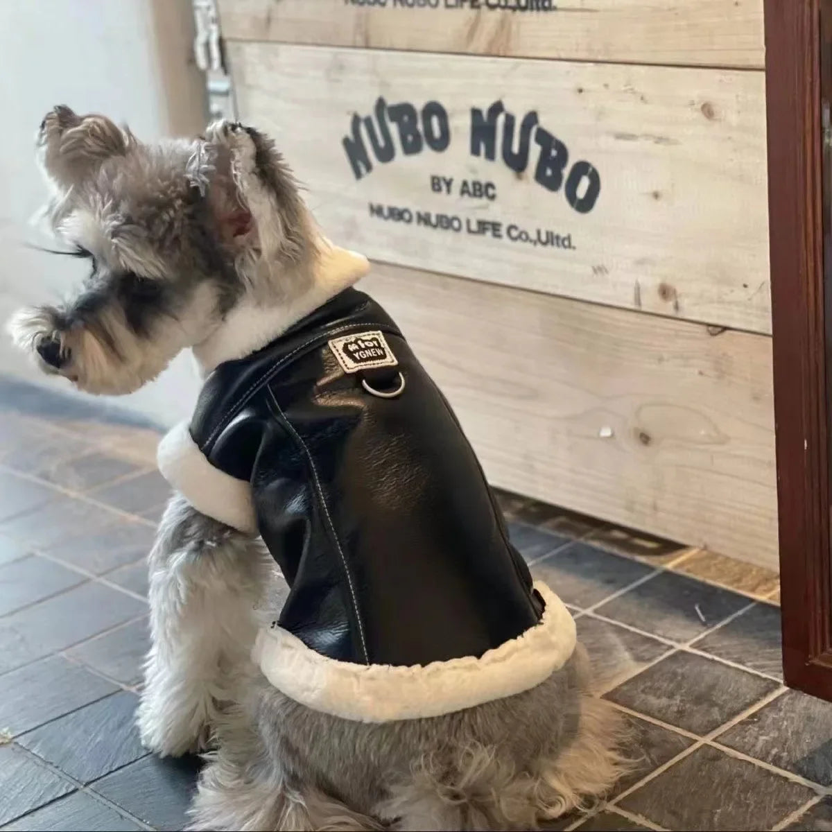 Bad To The Bone Pet Vest