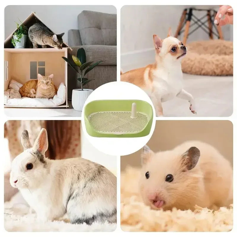 Portable Pet Potty Box