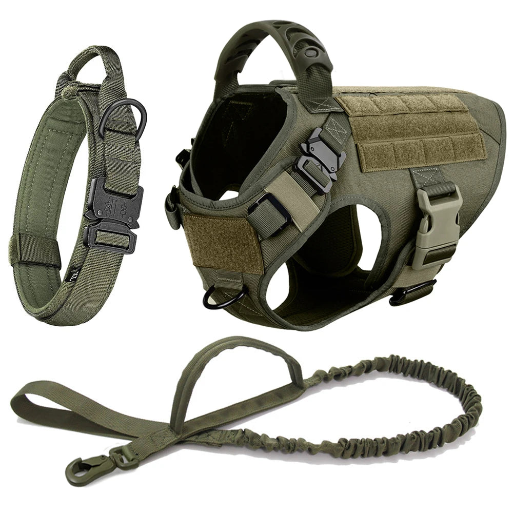 Large Dog Harness + Collar + Leash