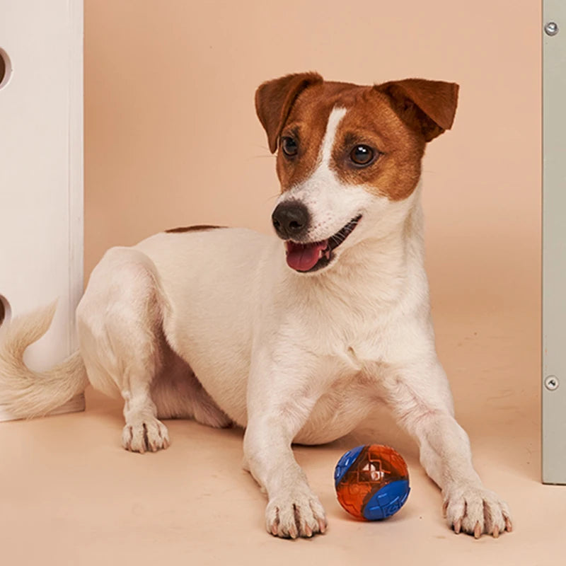 GiGwi Dog Squeaky Non-toxic Ball for Dogs