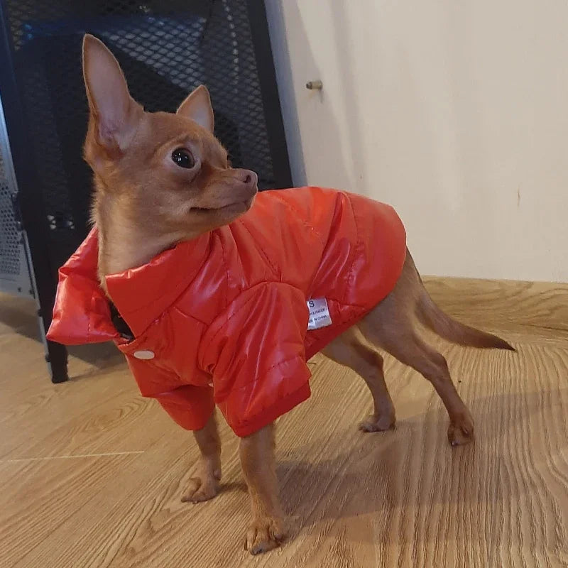 Pet Puffer Coat with Harness