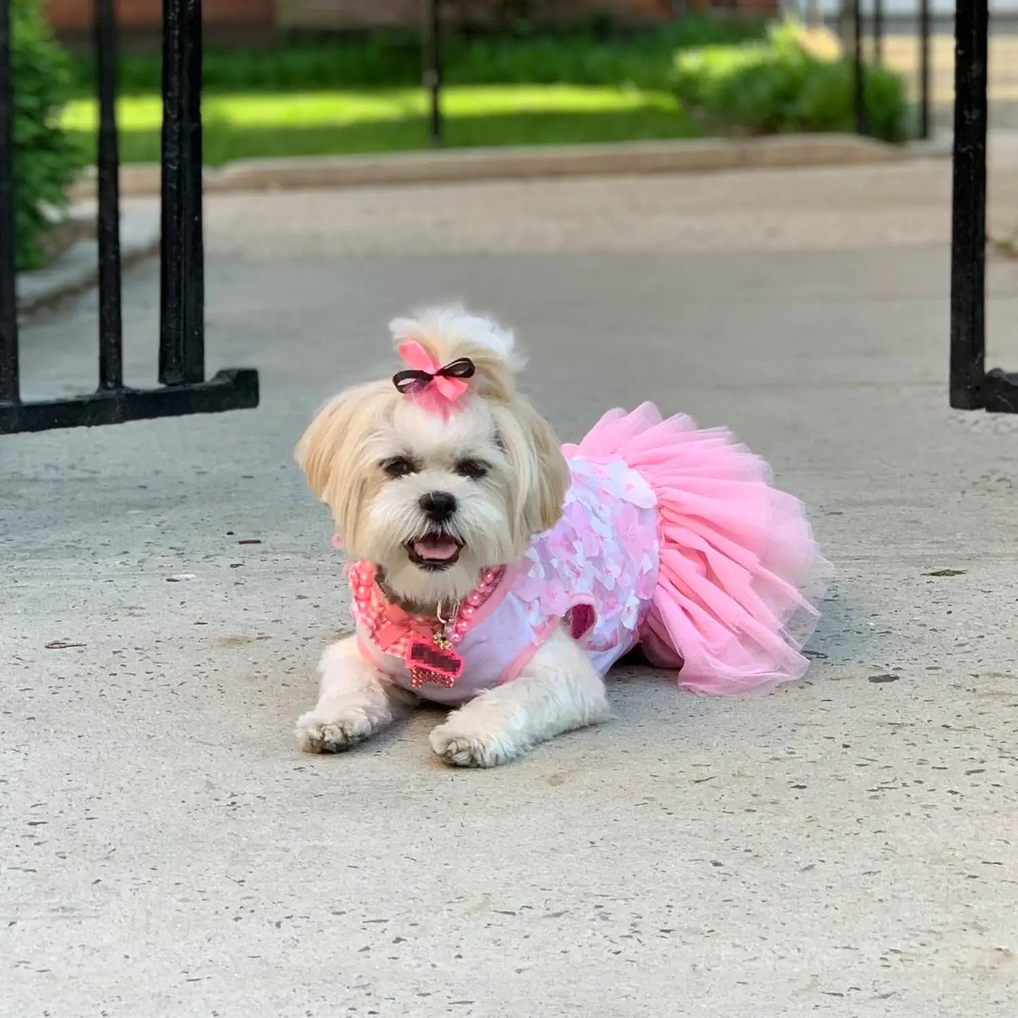 Ballerina Style Pet Dress