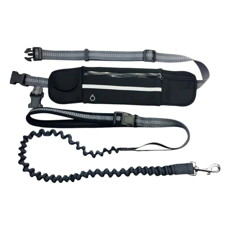 Hands Free Dog Leash with Zipper Pouch Reflective Bungee