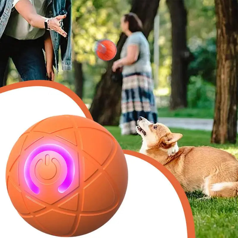 Automatic Rolling Ball Toy