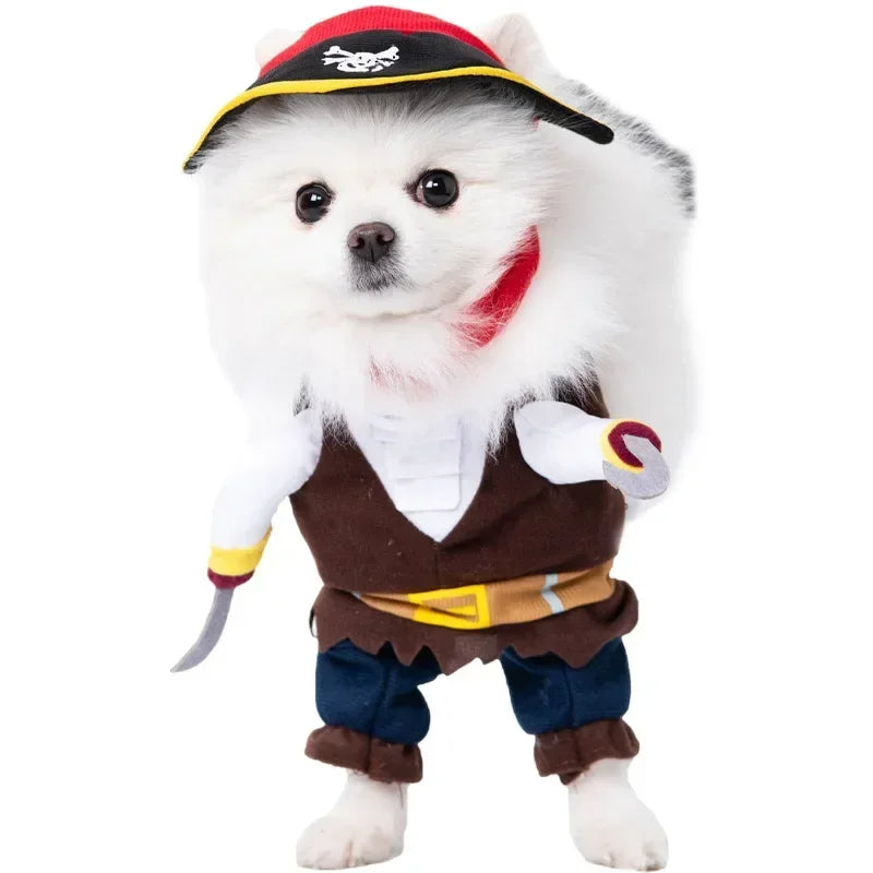 Pet Costume (Halloween)