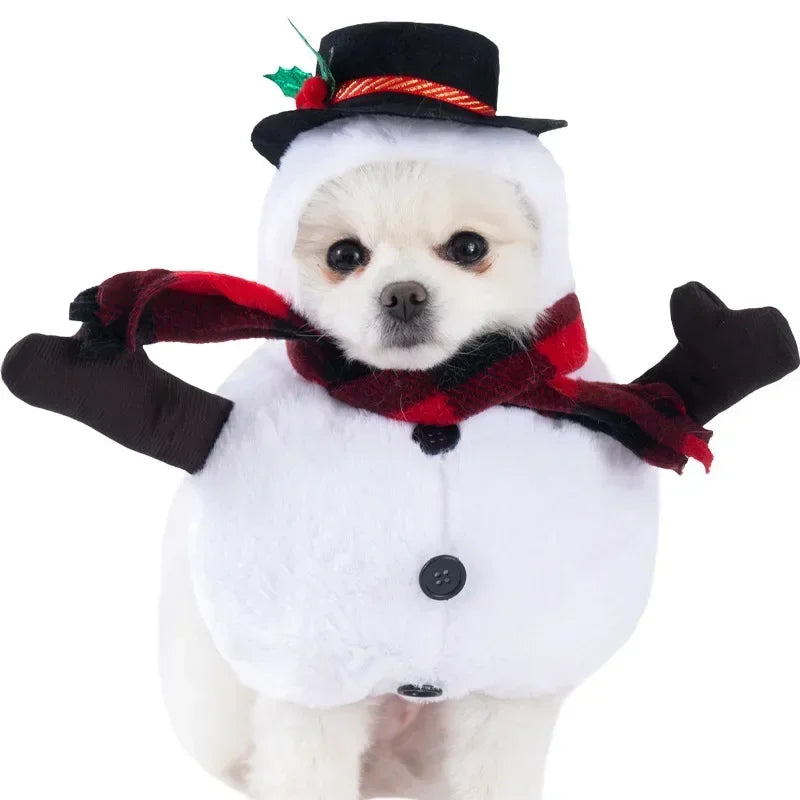 Pet Costume (Halloween)