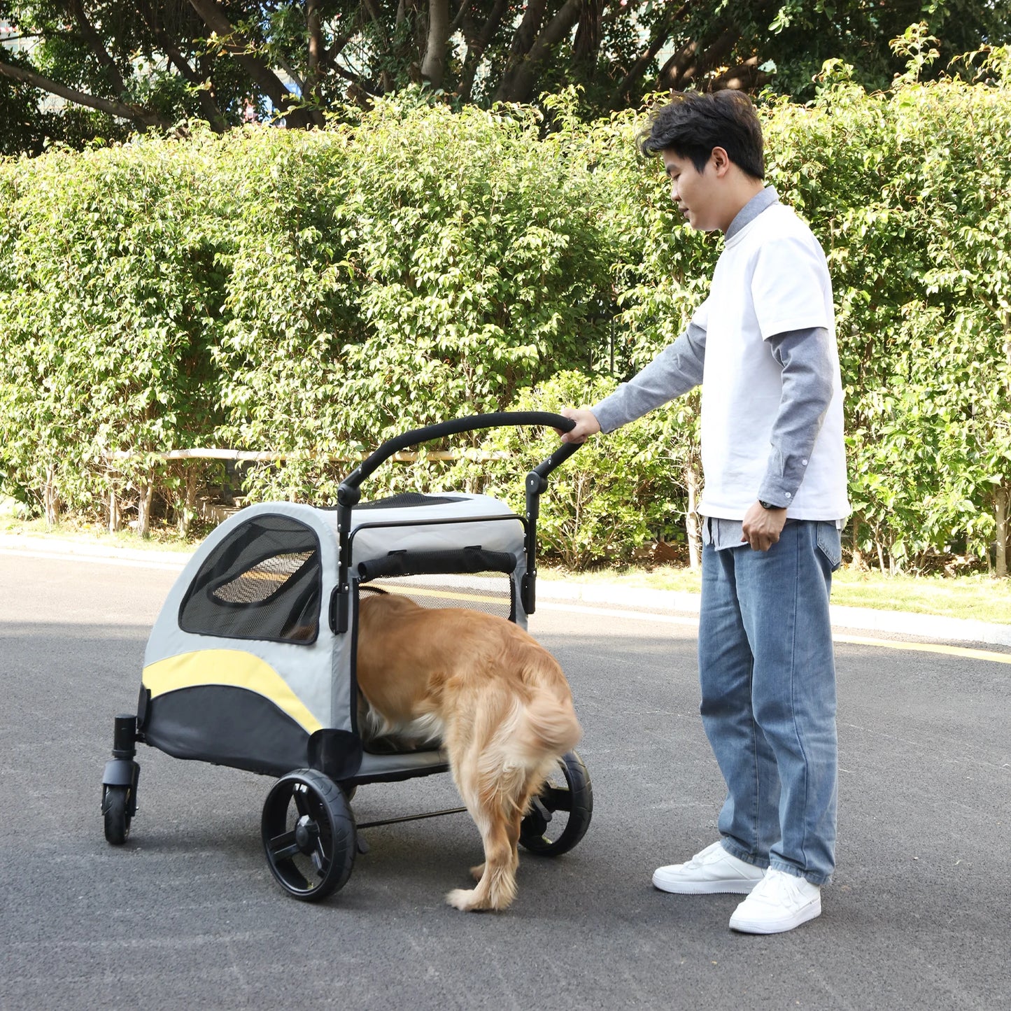 Portable Sturdy Dog Travel Carrier