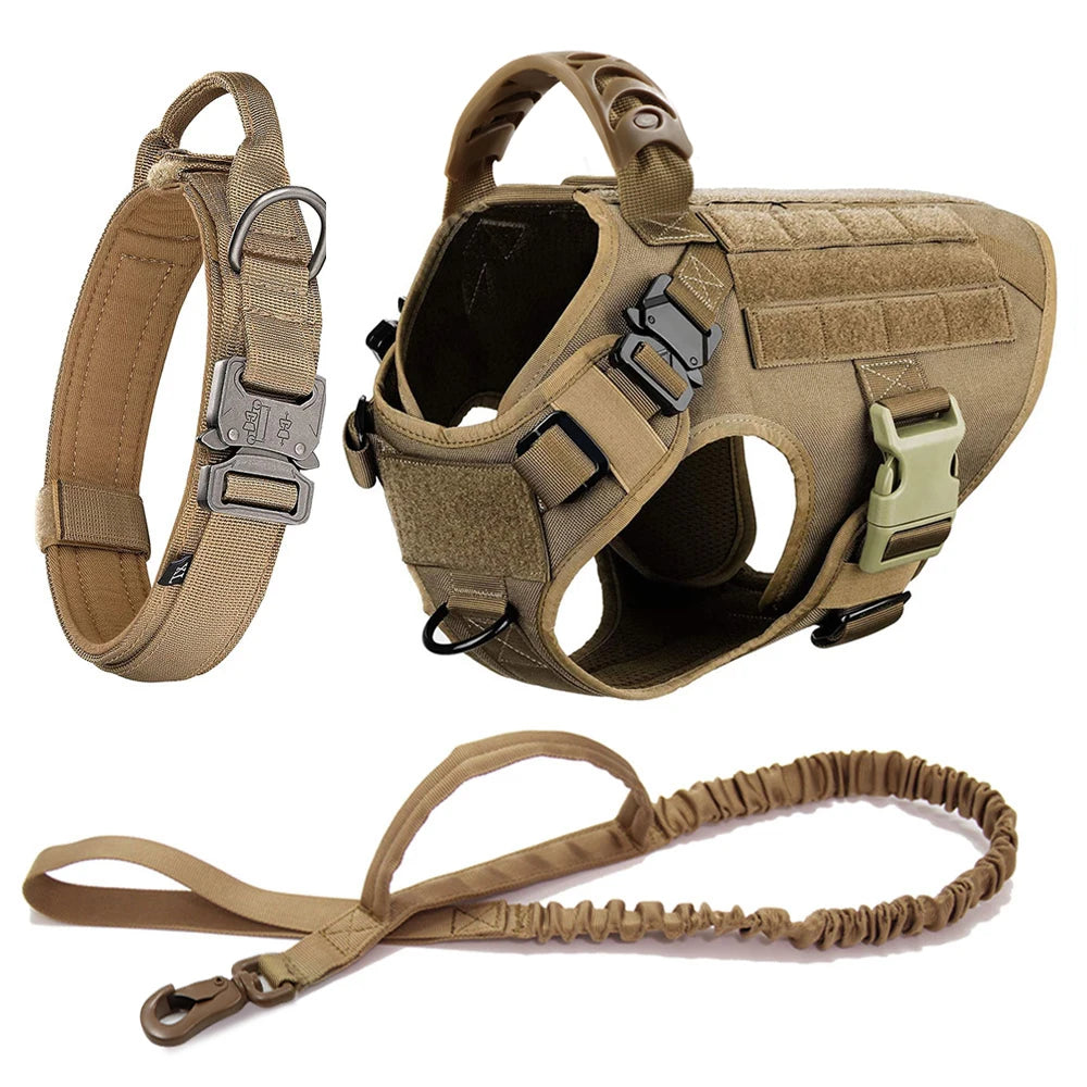 Large Dog Harness + Collar + Leash