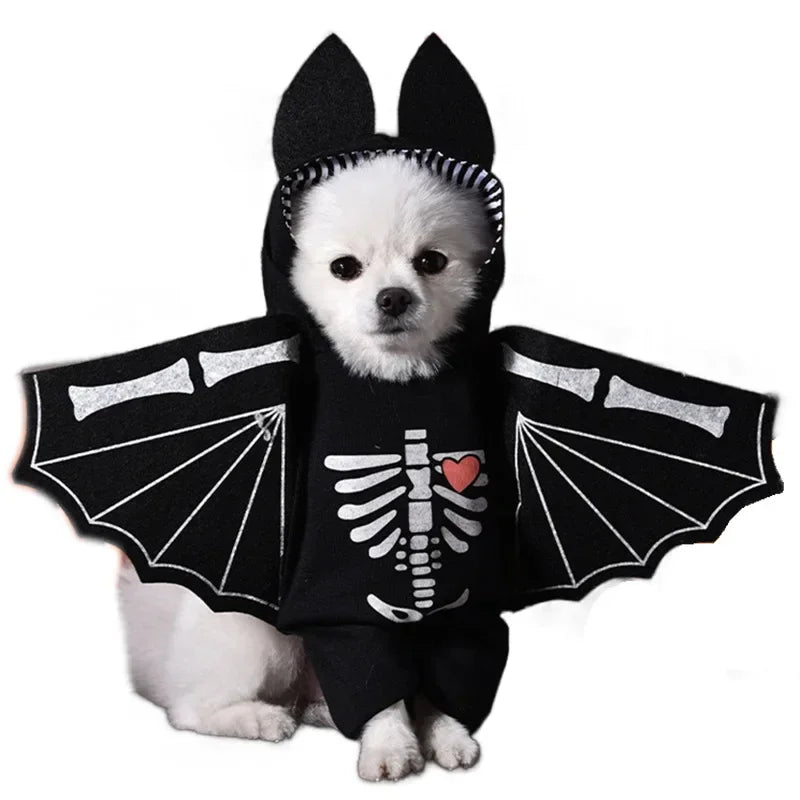 Pet Costume (Halloween)