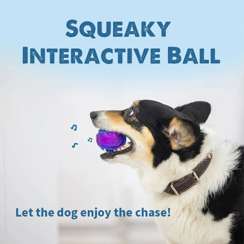 GiGwi Dog Squeaky Non-toxic Ball for Dogs