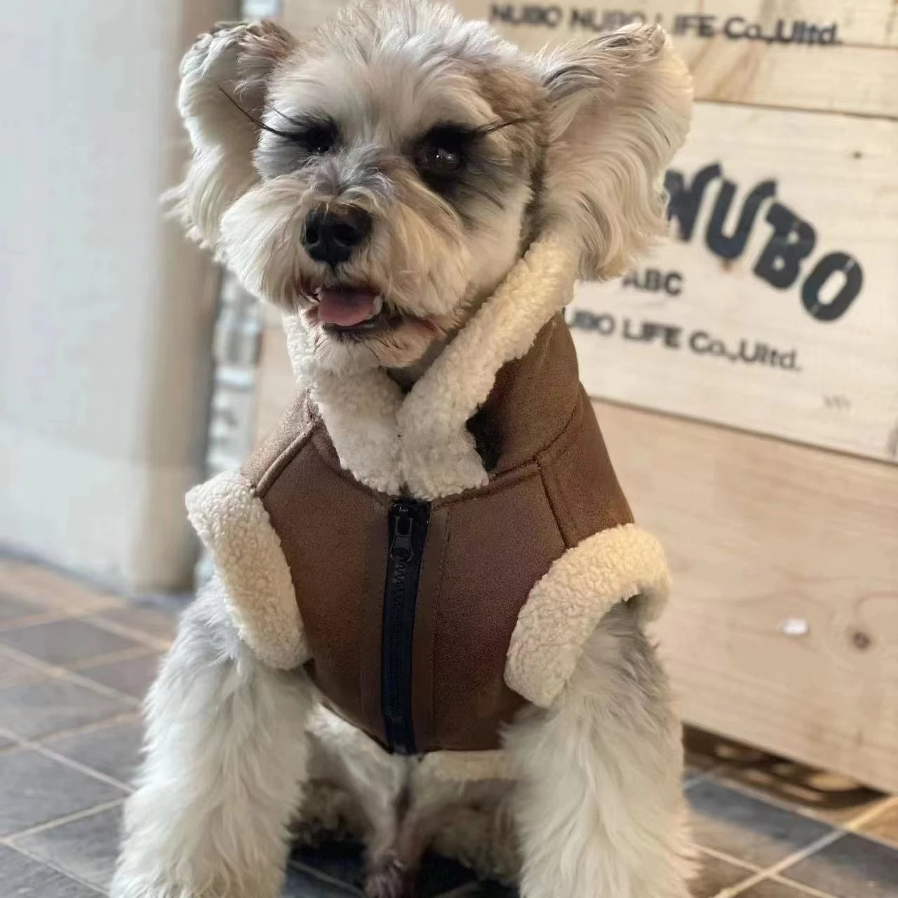 Bad To The Bone Pet Vest