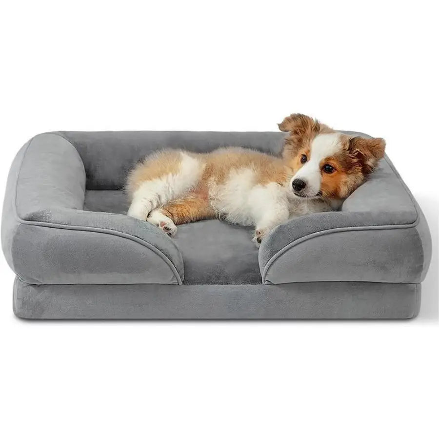 Comfy Pet Bed/Couch