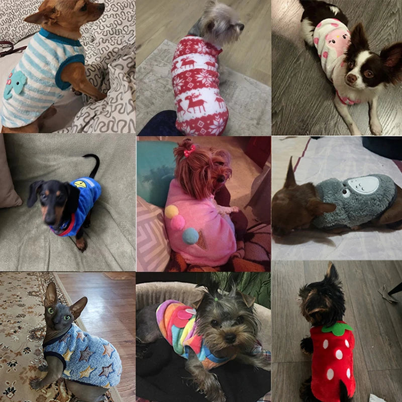 Playful Pet Vest/Shirt