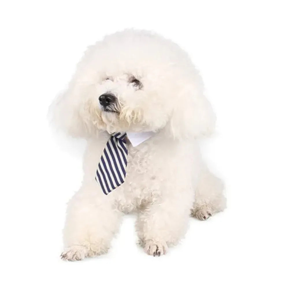 Like A Boss Adjustable Pet Neck Tie