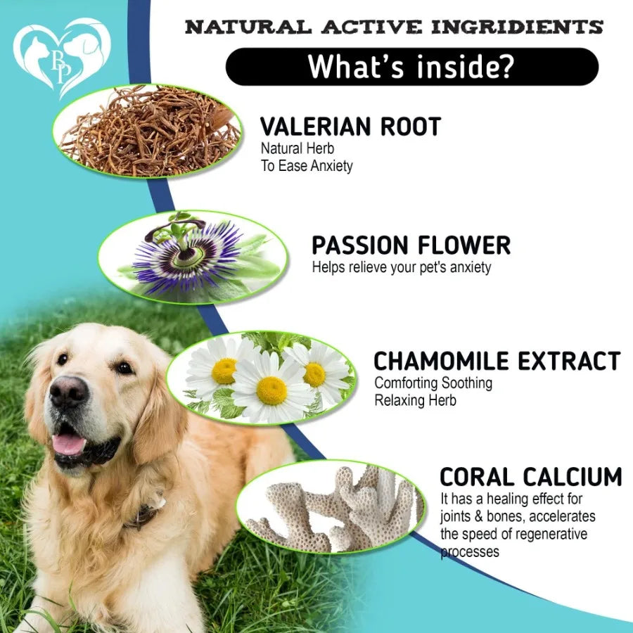 Calming Chews for Dogs