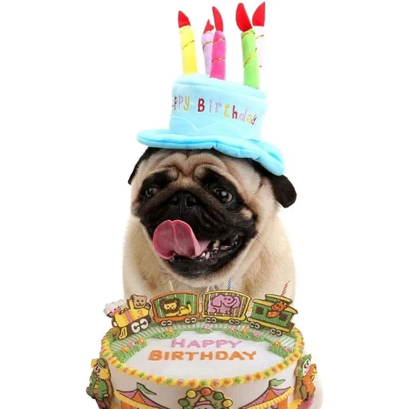 Celebrate Your Pet Birthday Cake Hat