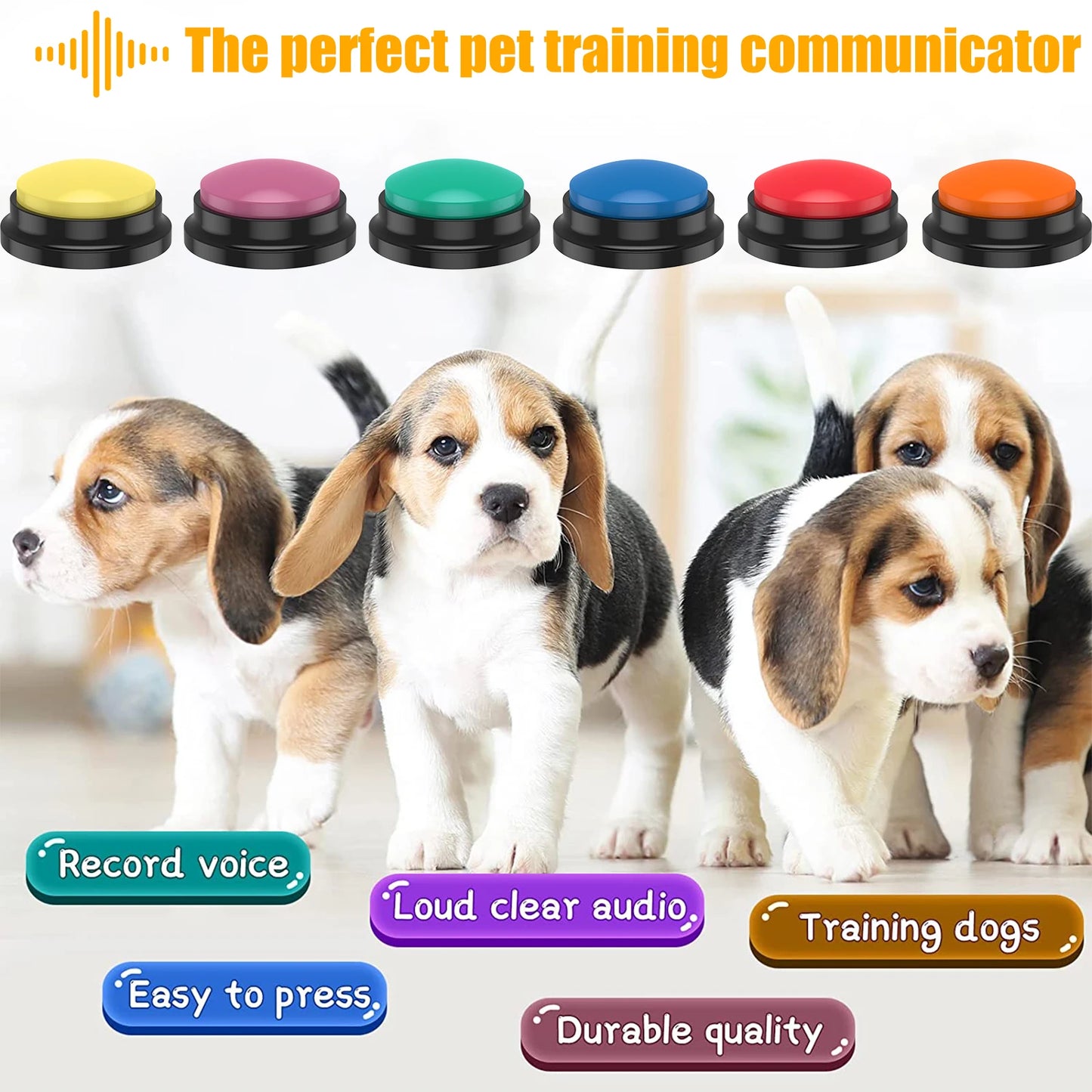 Voice Recording Buttons for Dog Communication
