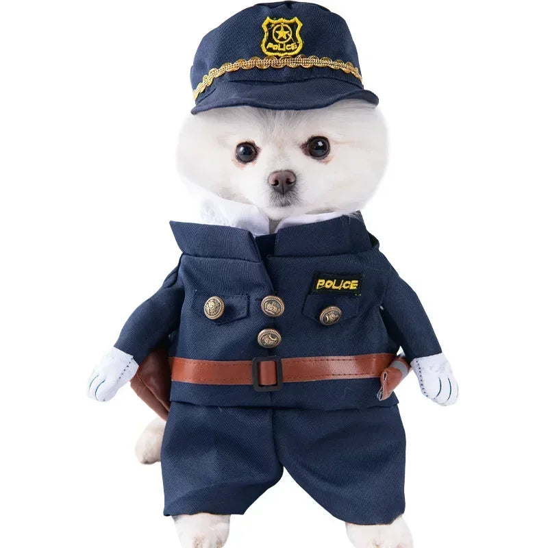 Pet Costume (Halloween)