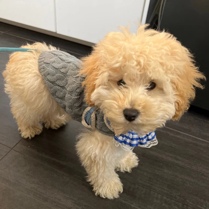 Classic Knitted Pet Sweater