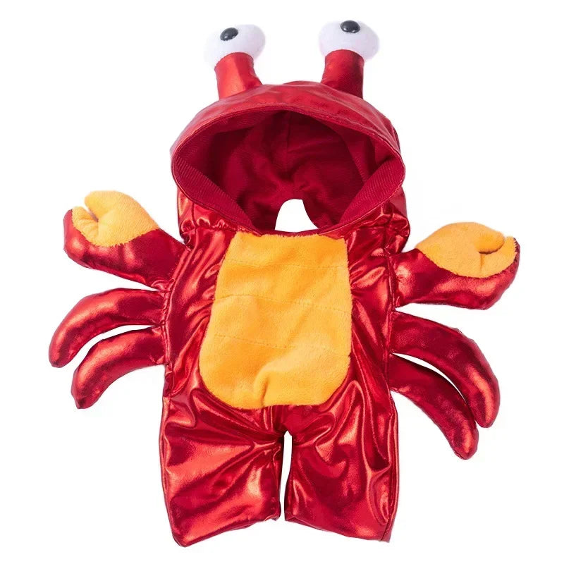 Pet Costume (Halloween)