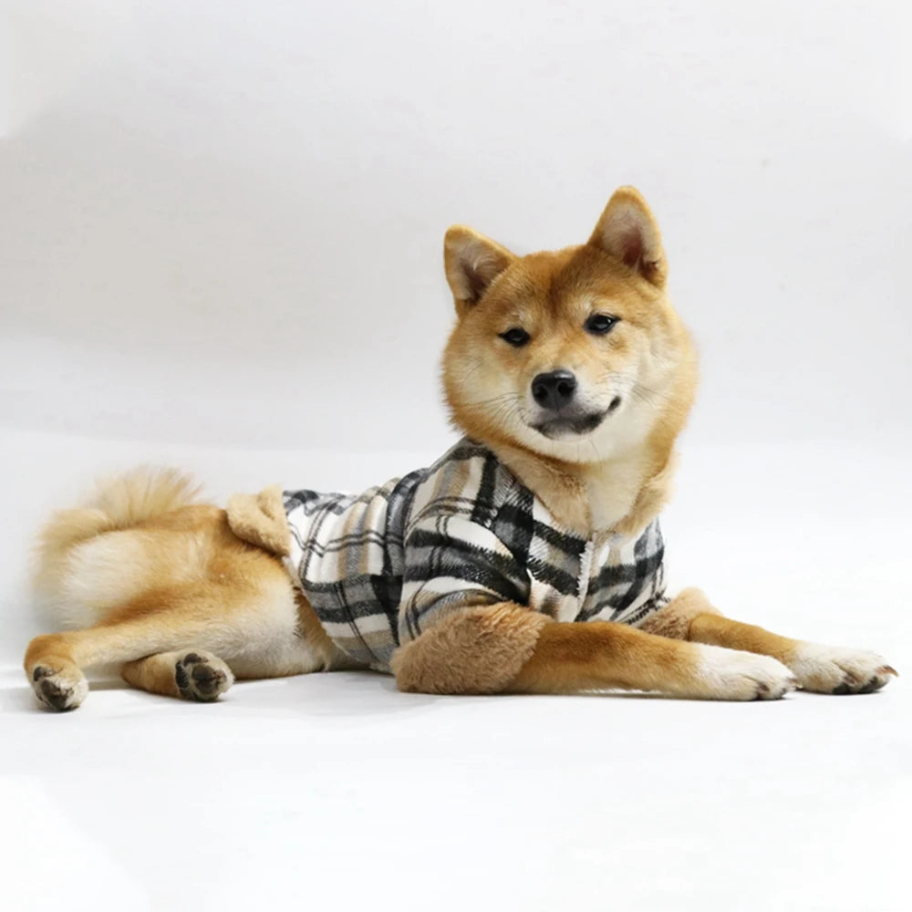 Fun and Fabulous Plaid Winter Pet Jacket