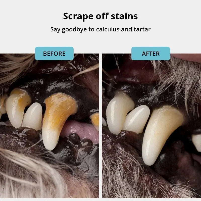 Dog Tooth Cleaning Tool Removes Tartar
