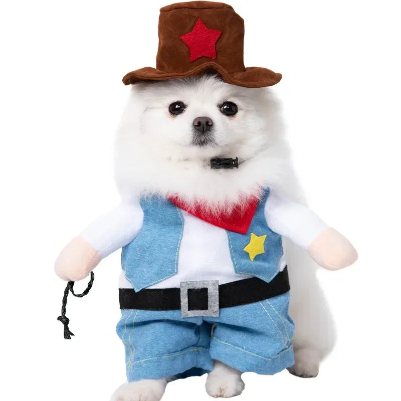Pet Costume (Halloween)