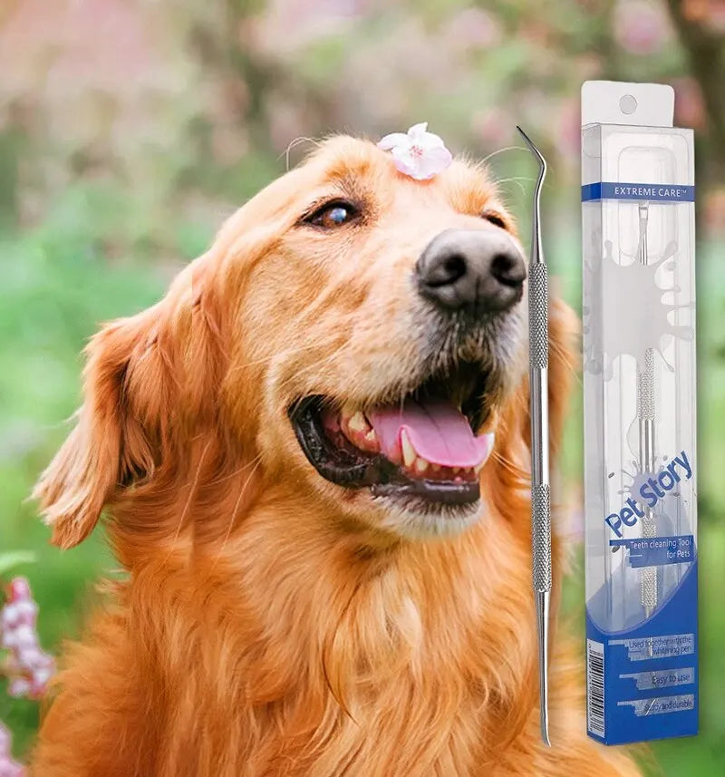 Dog Tooth Cleaning Tool Removes Tartar
