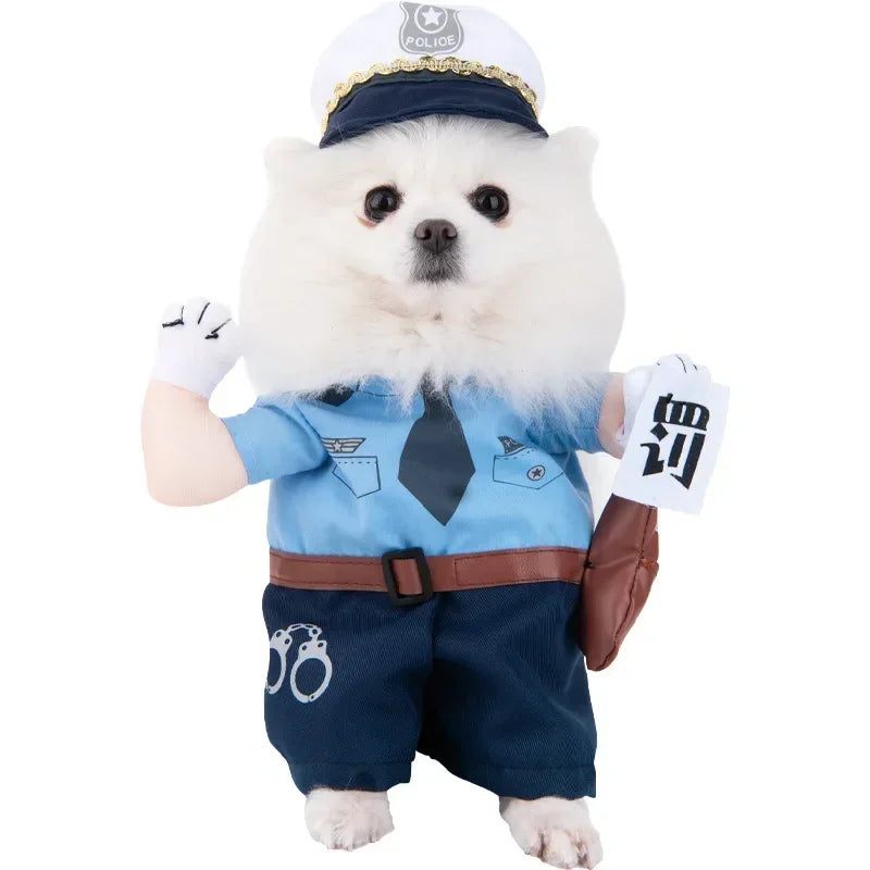 Pet Costume (Halloween)