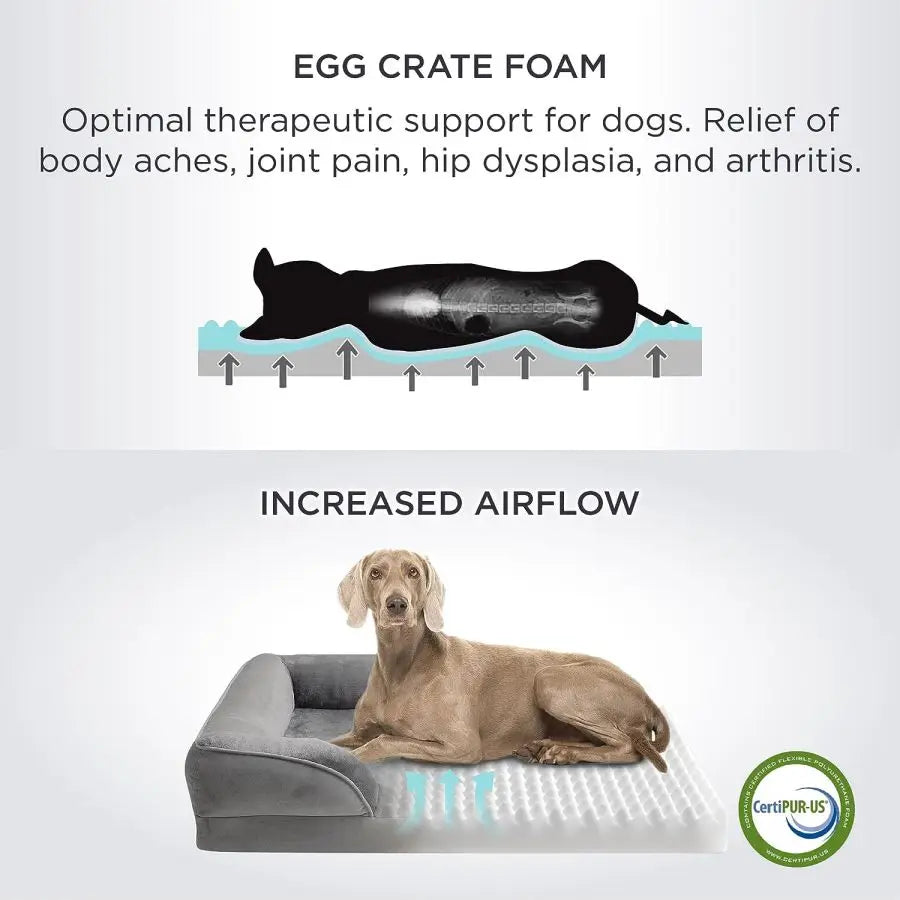 Comfy Pet Bed/Couch