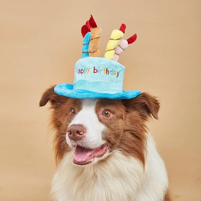 Celebrate Your Pet Birthday Cake Hat