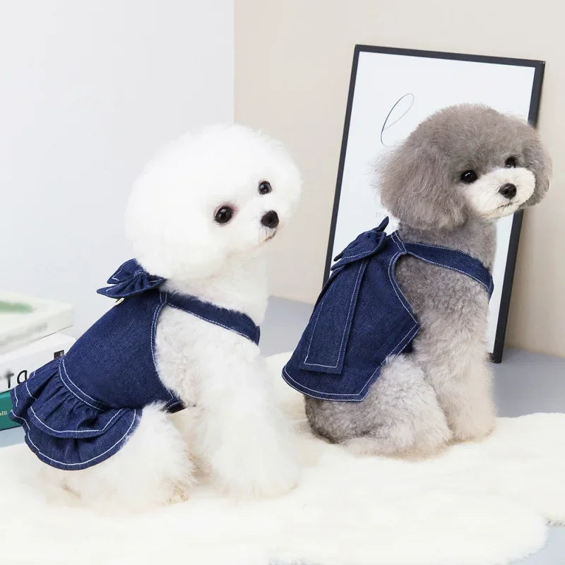 Adorable Demin Dog Dress & Leash Harness