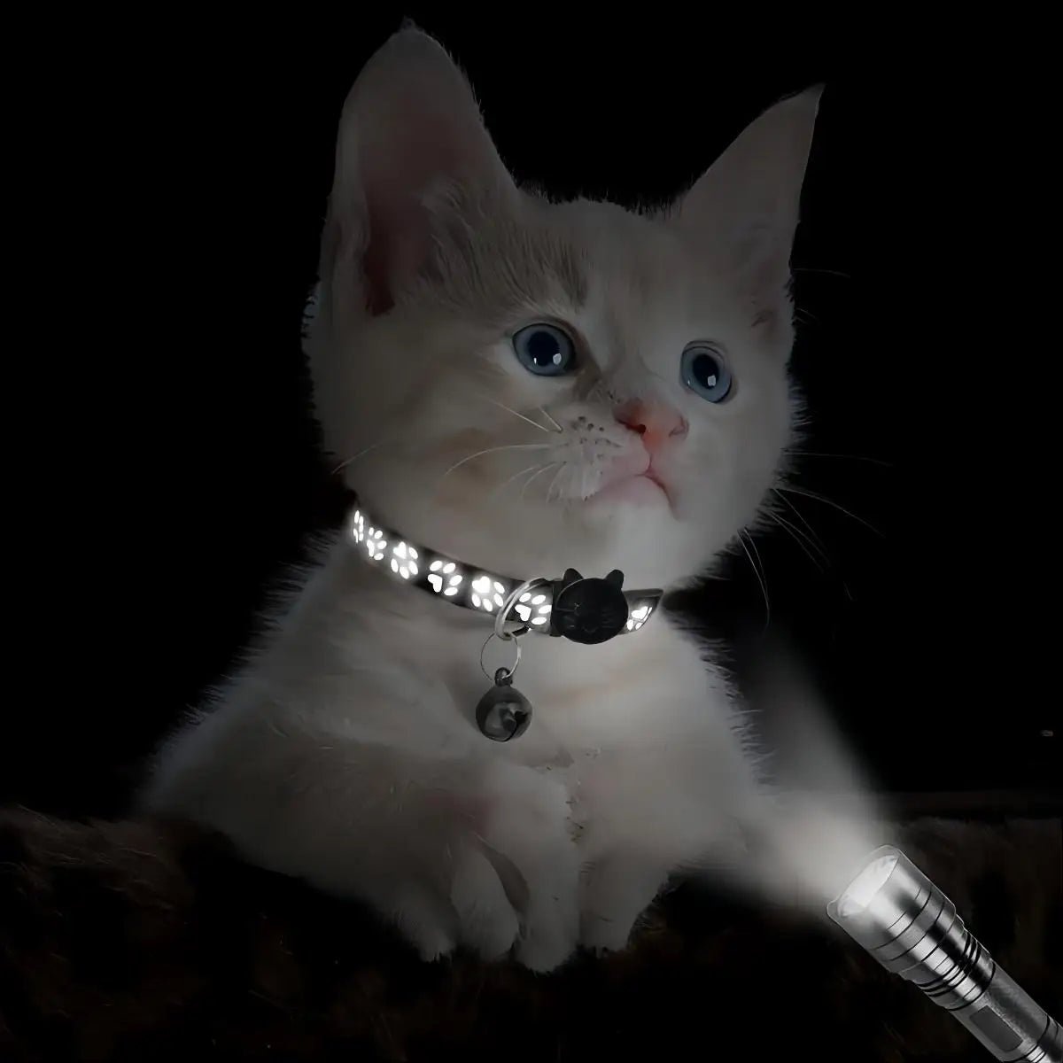 Reflective Pet Collar 2 PC