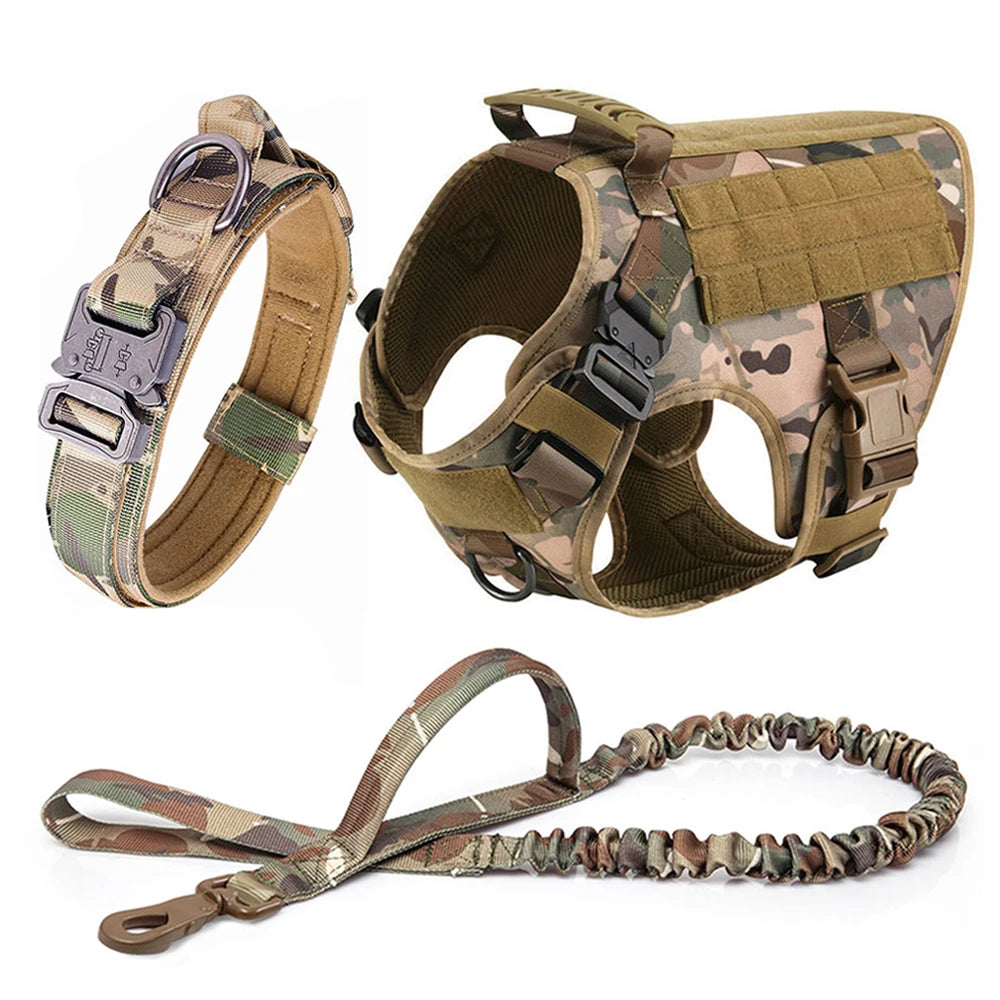 Large Dog Harness + Collar + Leash
