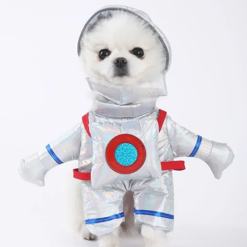 Pet Costume (Halloween)