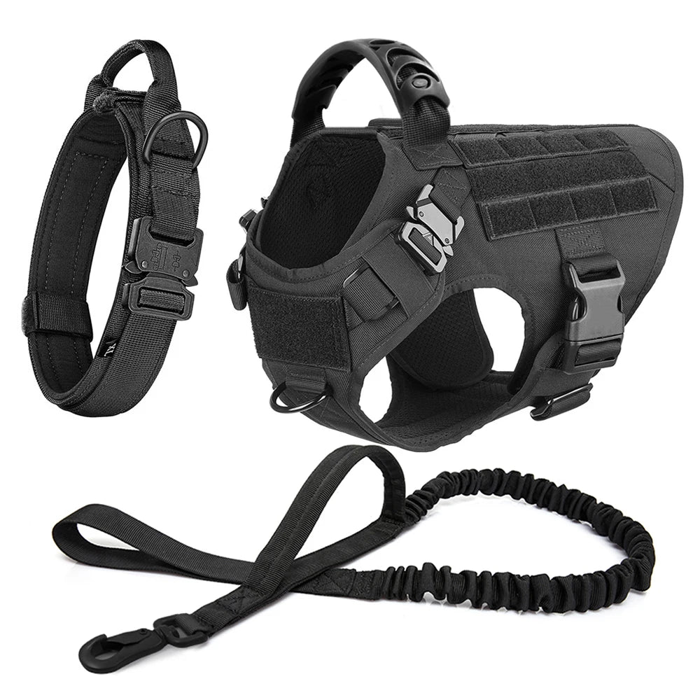 Large Dog Harness + Collar + Leash