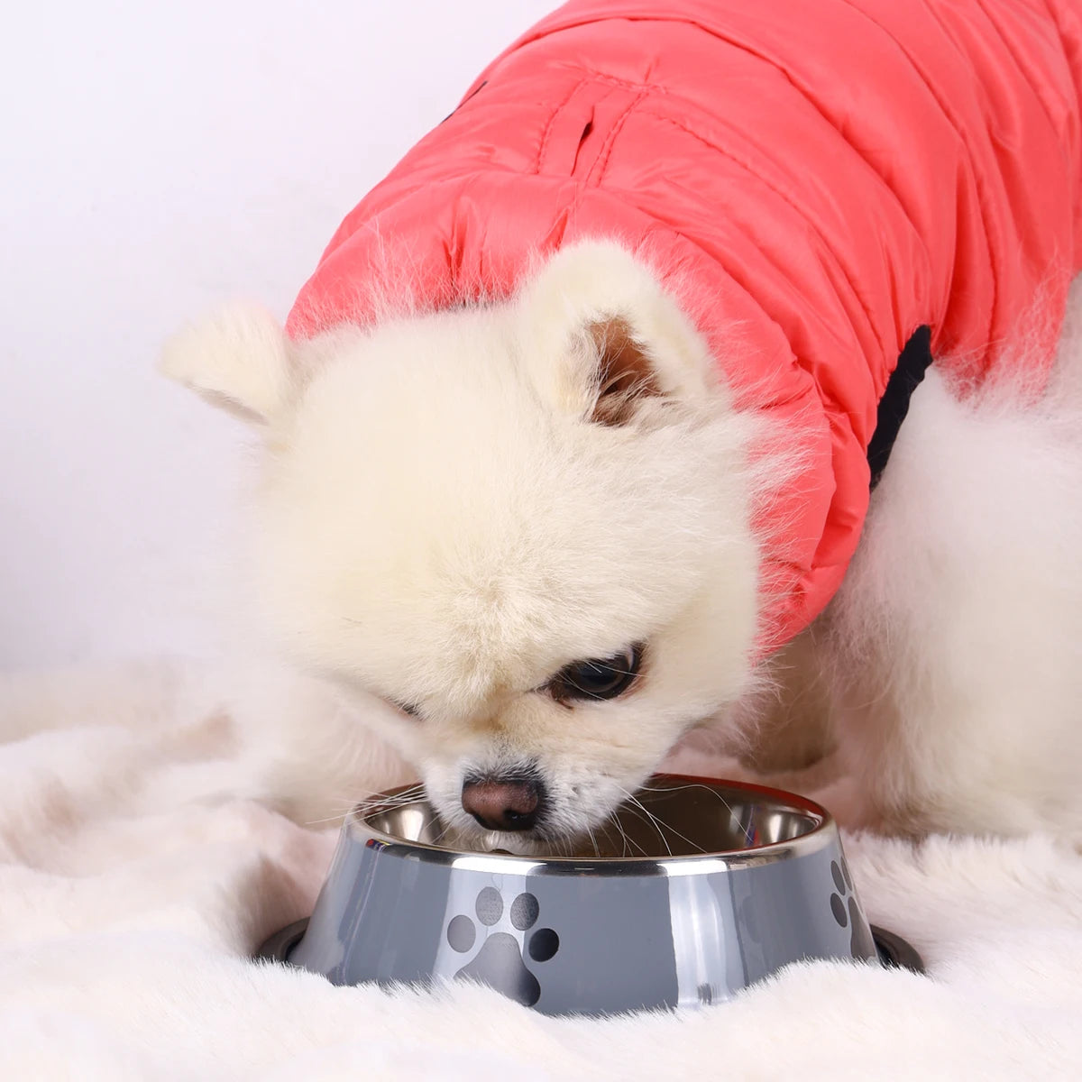 Stainless Steel Pet Bowl
