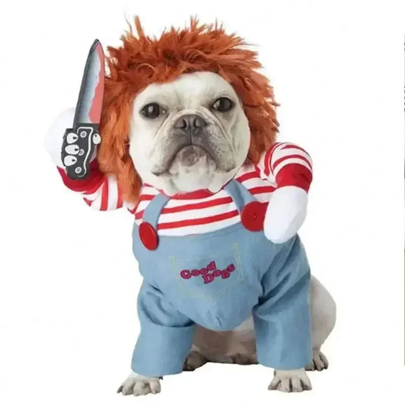 Pet Costume (Halloween)