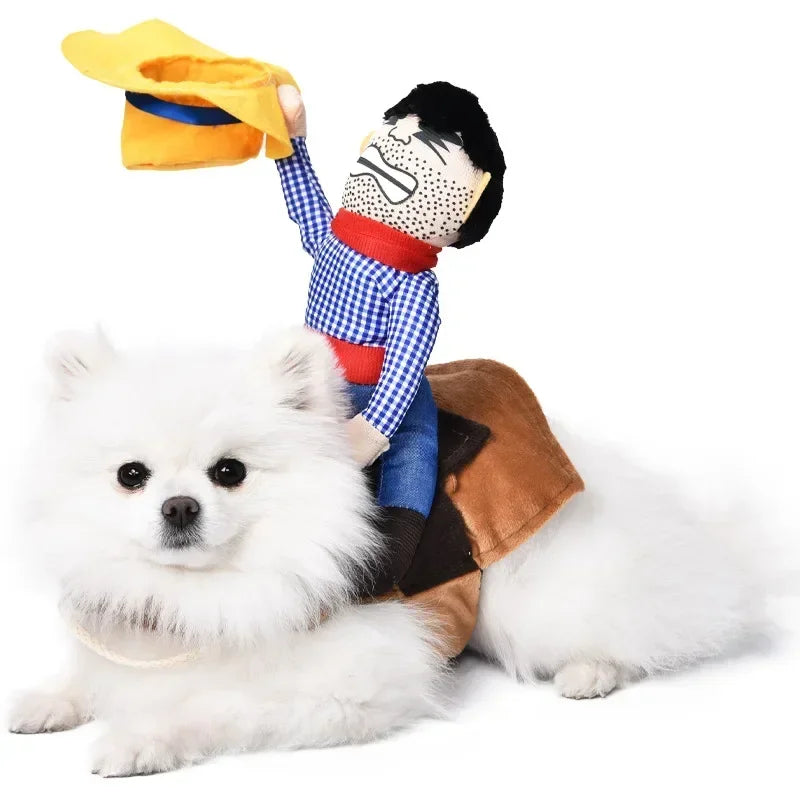 Pet Costume (Halloween)