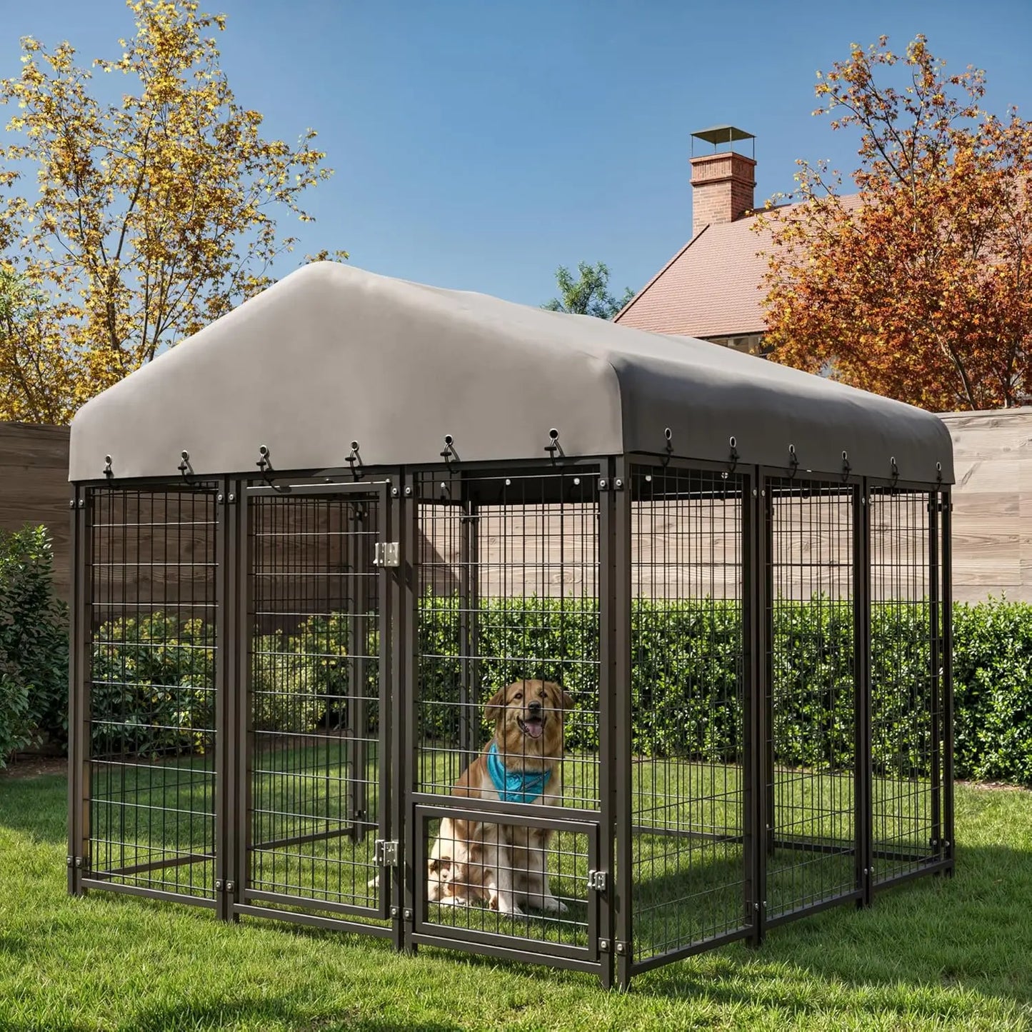 Heavy- Duty Outdoor Dog Kennel 10X10FT