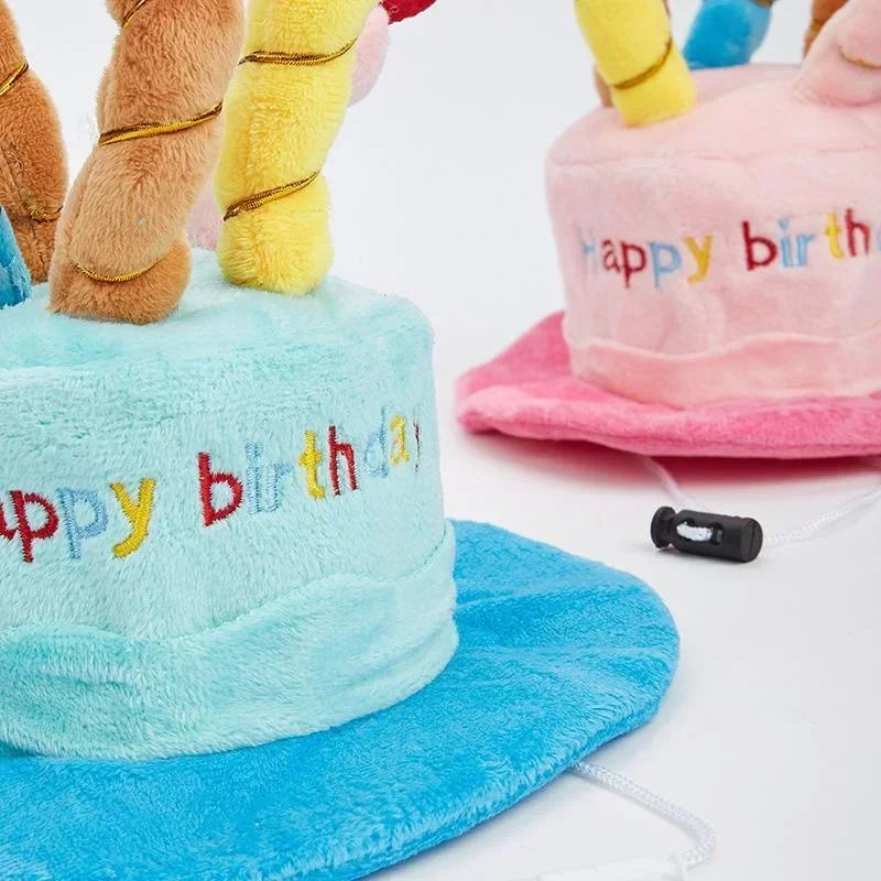 Celebrate Your Pet Birthday Cake Hat