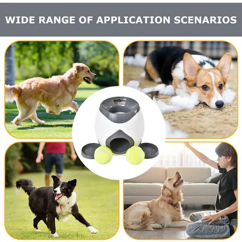 Auto Dog Ball Thrower & Treat Reward Toy