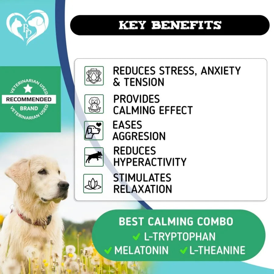Calming Chews for Dogs