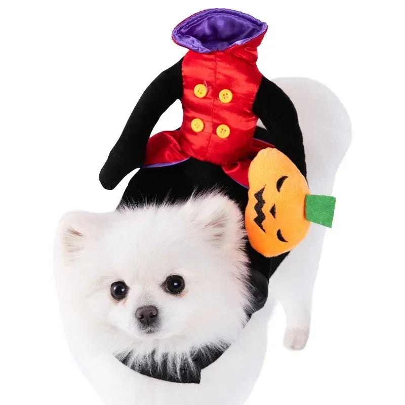 Pet Costume (Halloween)