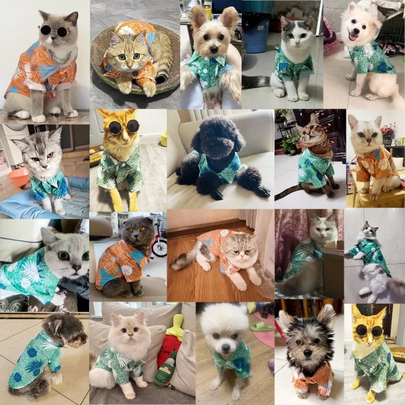Beachy Hawaiian Print Pet Shirts