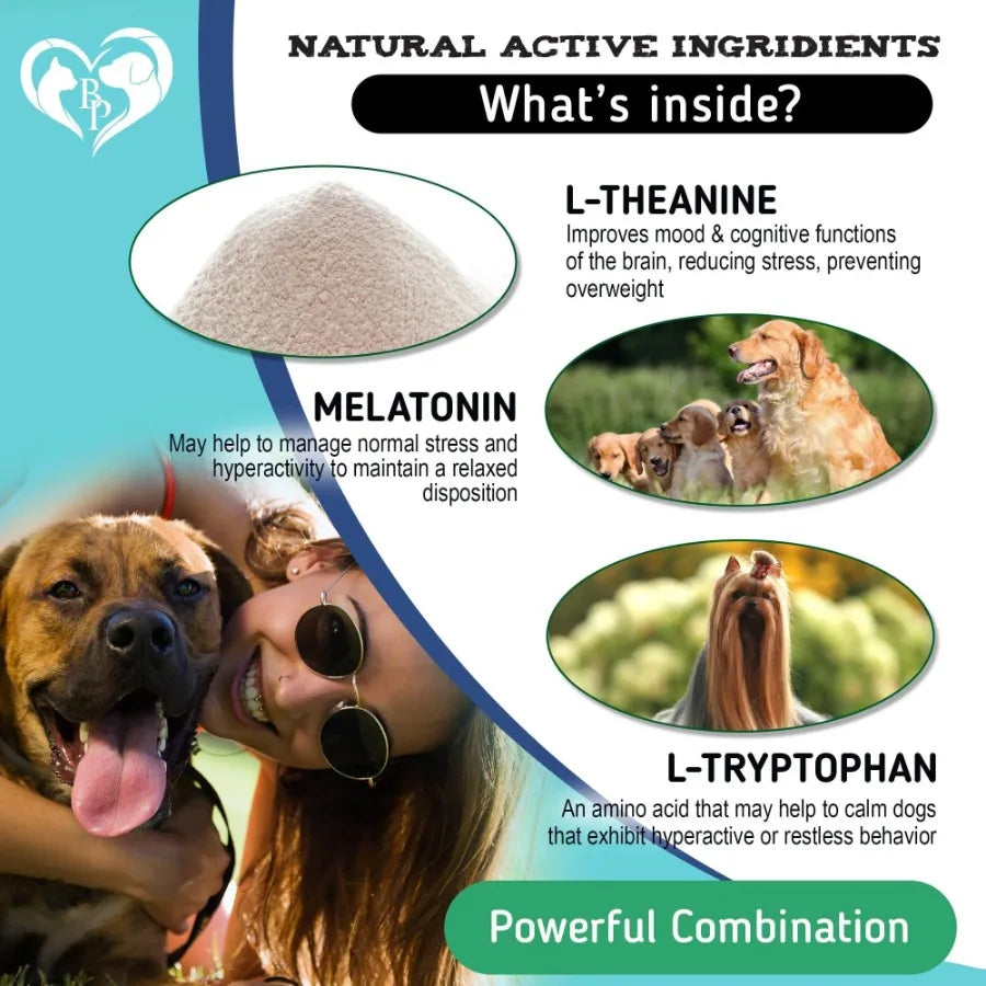 Calming Chews for Dogs